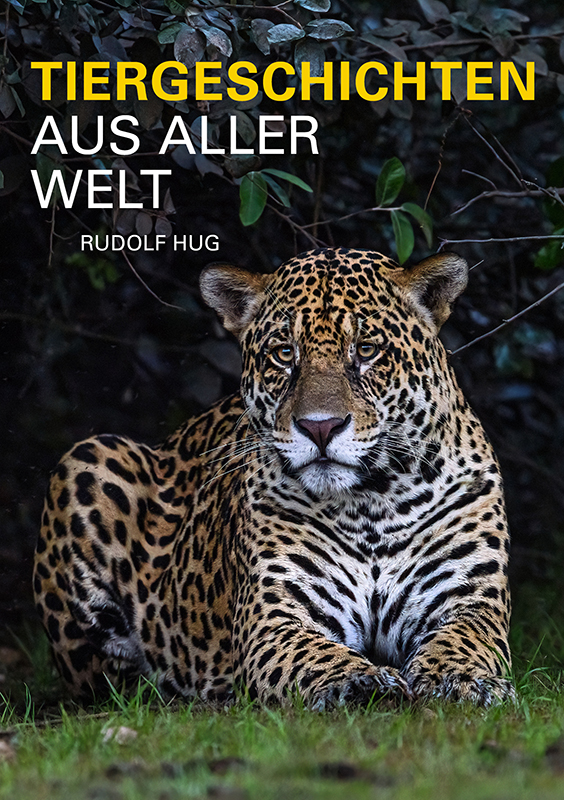 Multimediashow «Tiergeschichten aus aller Welt»